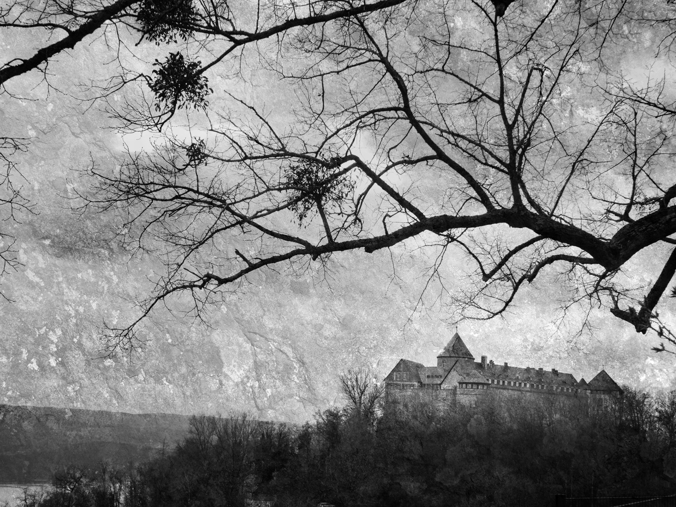 Mistletoe Tree and Schloss Waldeck - Hesse - Germany
