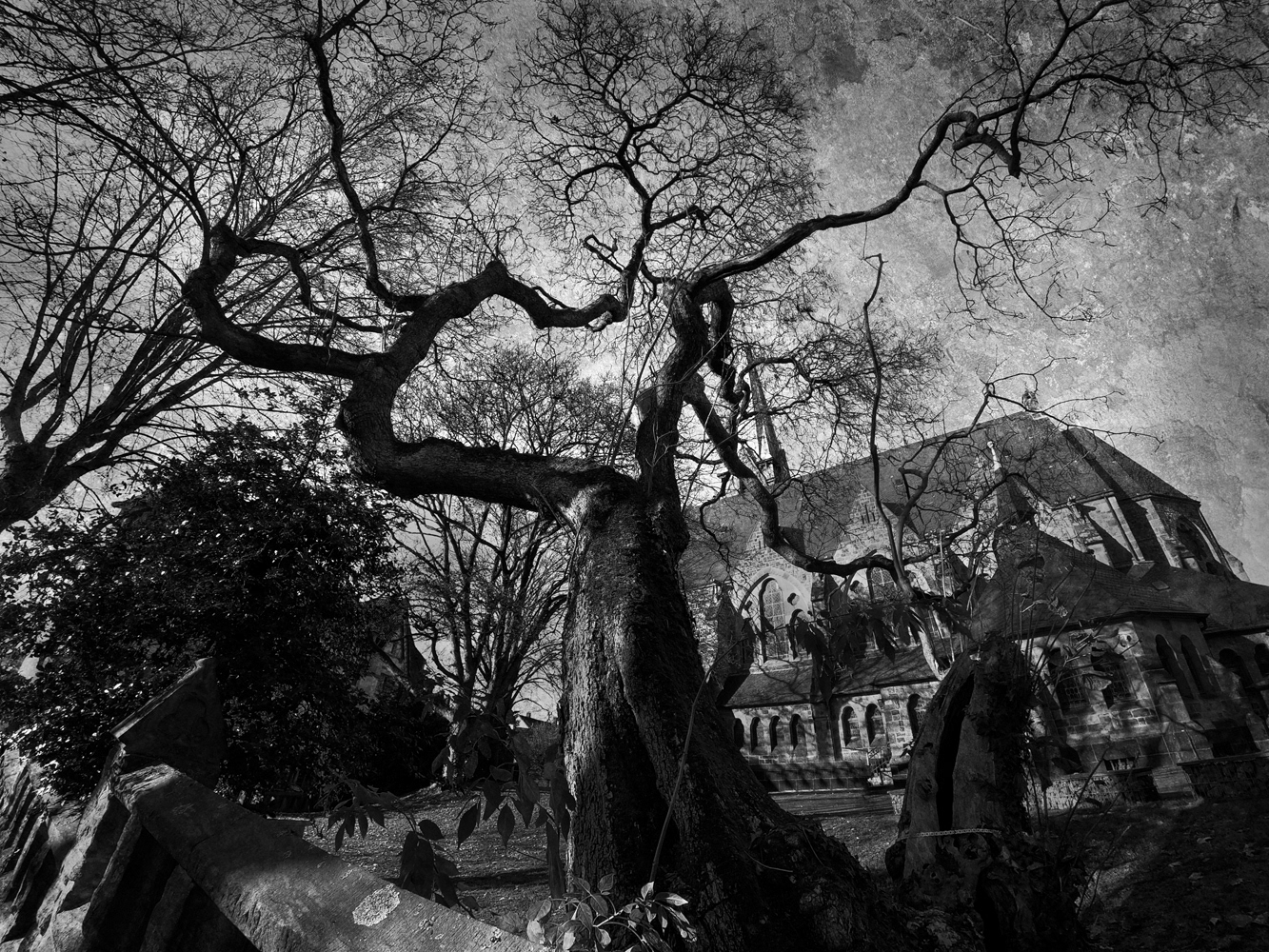 A black and white photograph of a twisty tree in a churchyard in Wetter, Germany