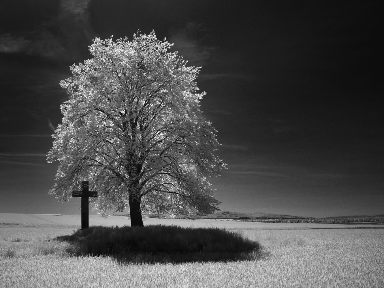 Black and white photograph of a tree backlit with a cross in a field. NFT photography.