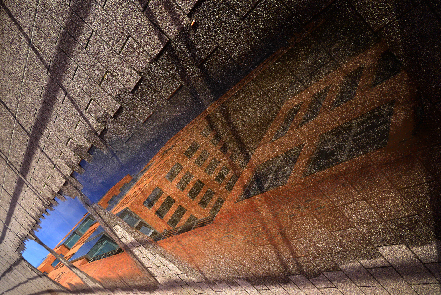Colour photograph by Mark Robert Davey showing Puddle Reflection and Cigarette Butt