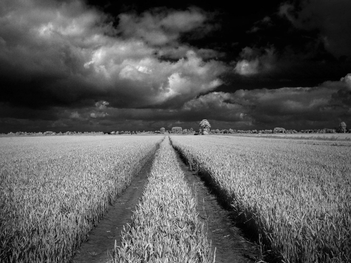 Black and white infrared photograph by Mark Robert Davey showing a road through a wheatfield with oncoming storm.