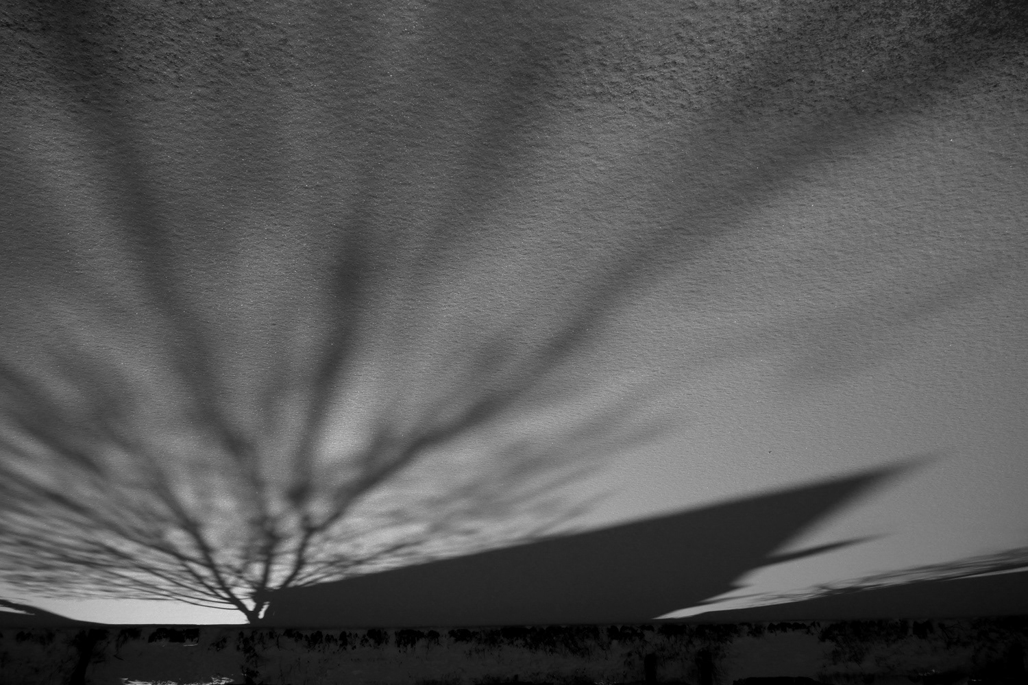 Black and white photograph of an ice and snow covered pond with shadow of a hut and tree on the ice