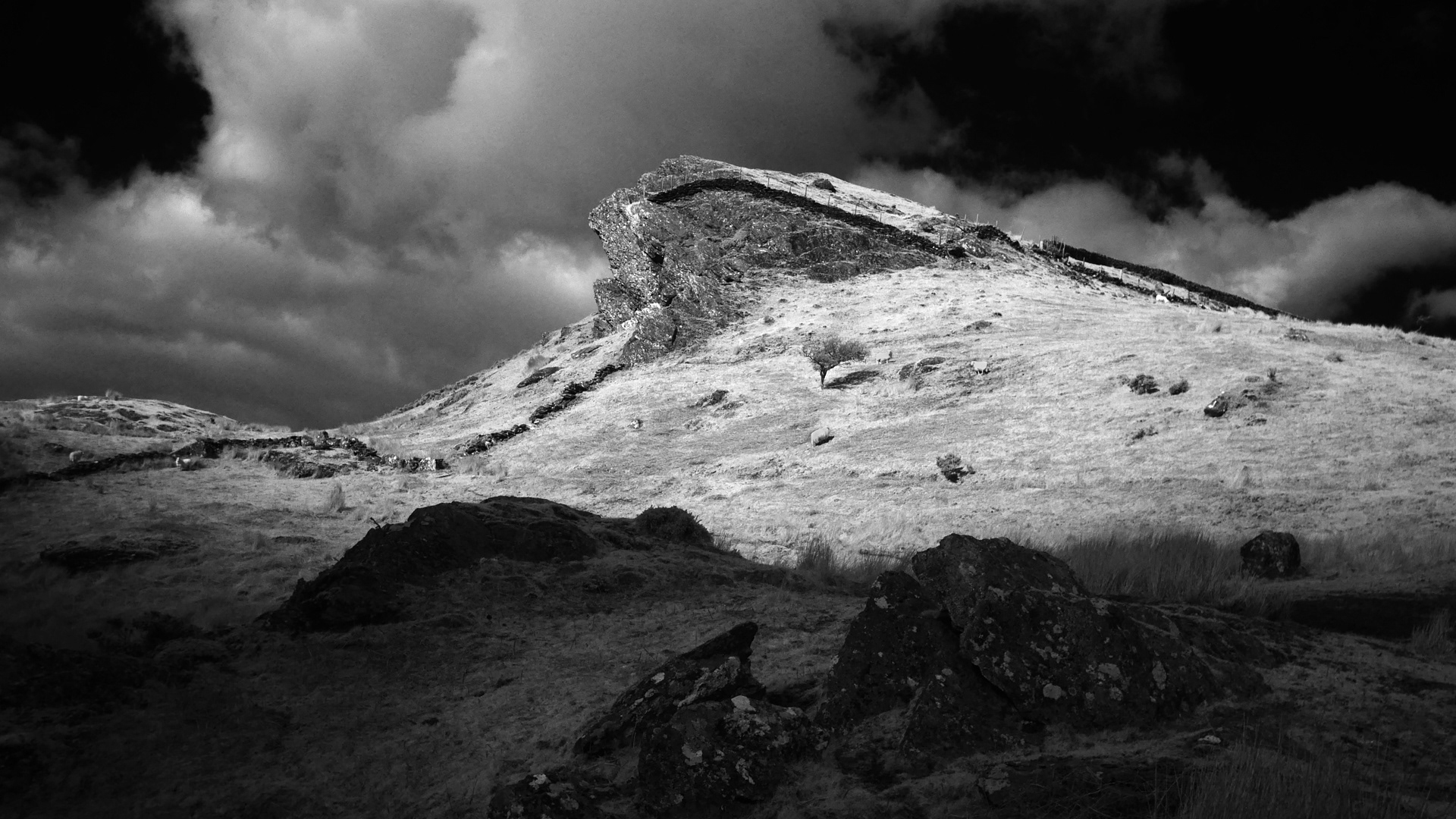 Black and white infrared photograph of a mountain and tree near Tremadog in the Snowdonia National Park, Wales, UK