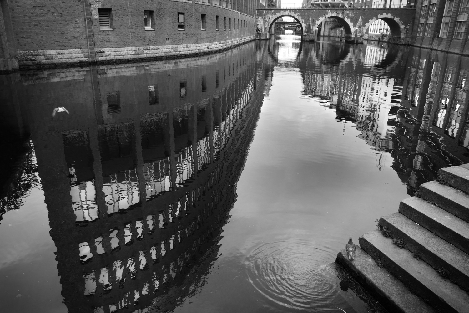 Black and white photograph by Mark Robert Davey showing Buildings Reflected in the Canal at Ellerntorsbrücke - Hamburg