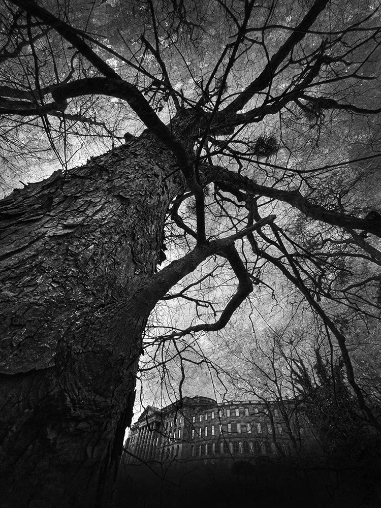 Black and white photograph ofSchloss Wilhelmshöhe - Kassel - Germany