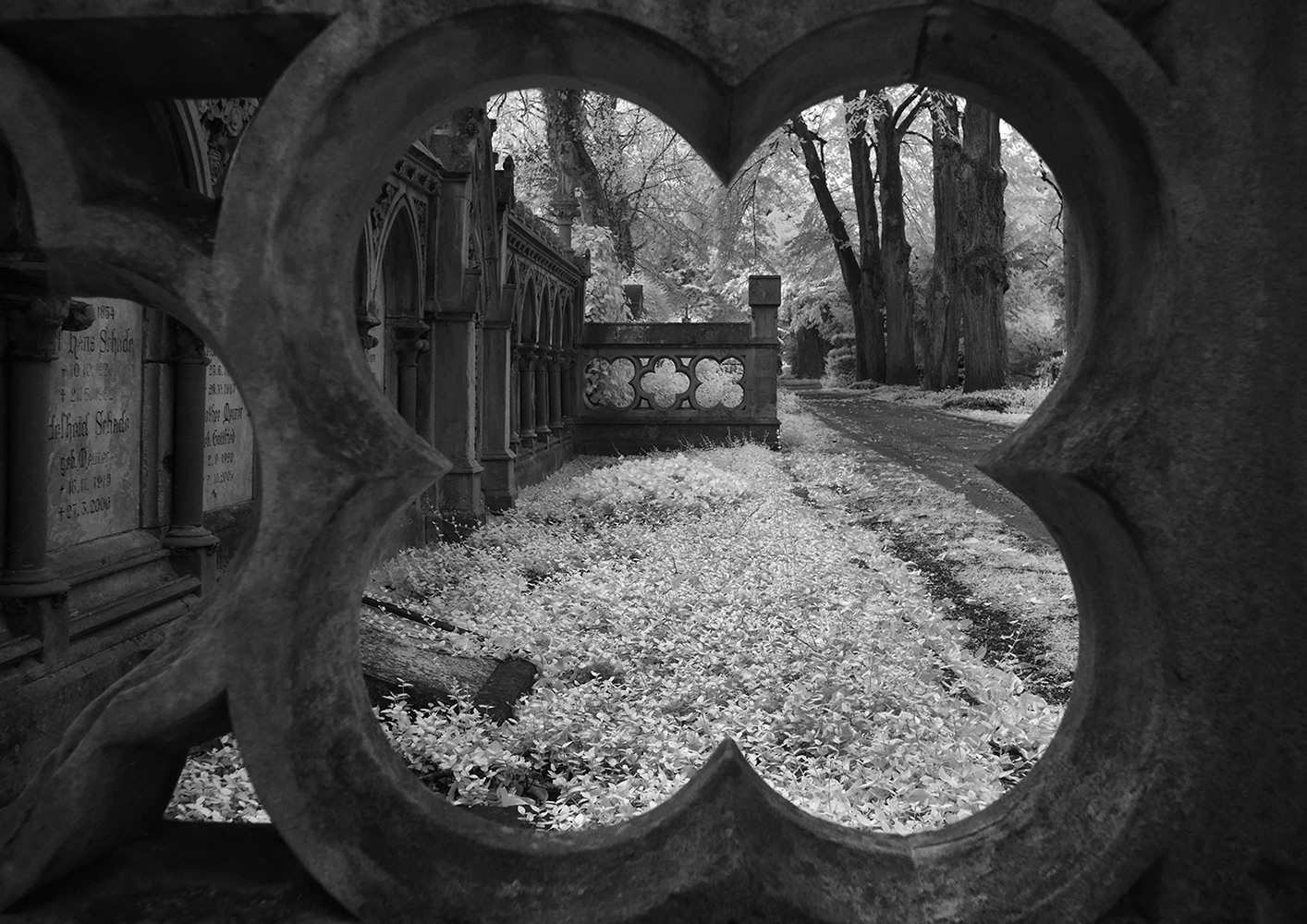 Black and white photograph of Melatenfriedhof - Cologne - Germany