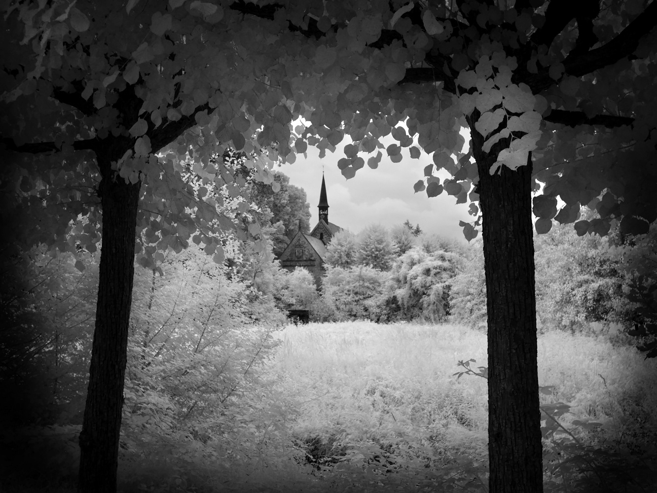Black and white infrared photograph by Mark Robert Davey showing a church spire in the middle of the forest.