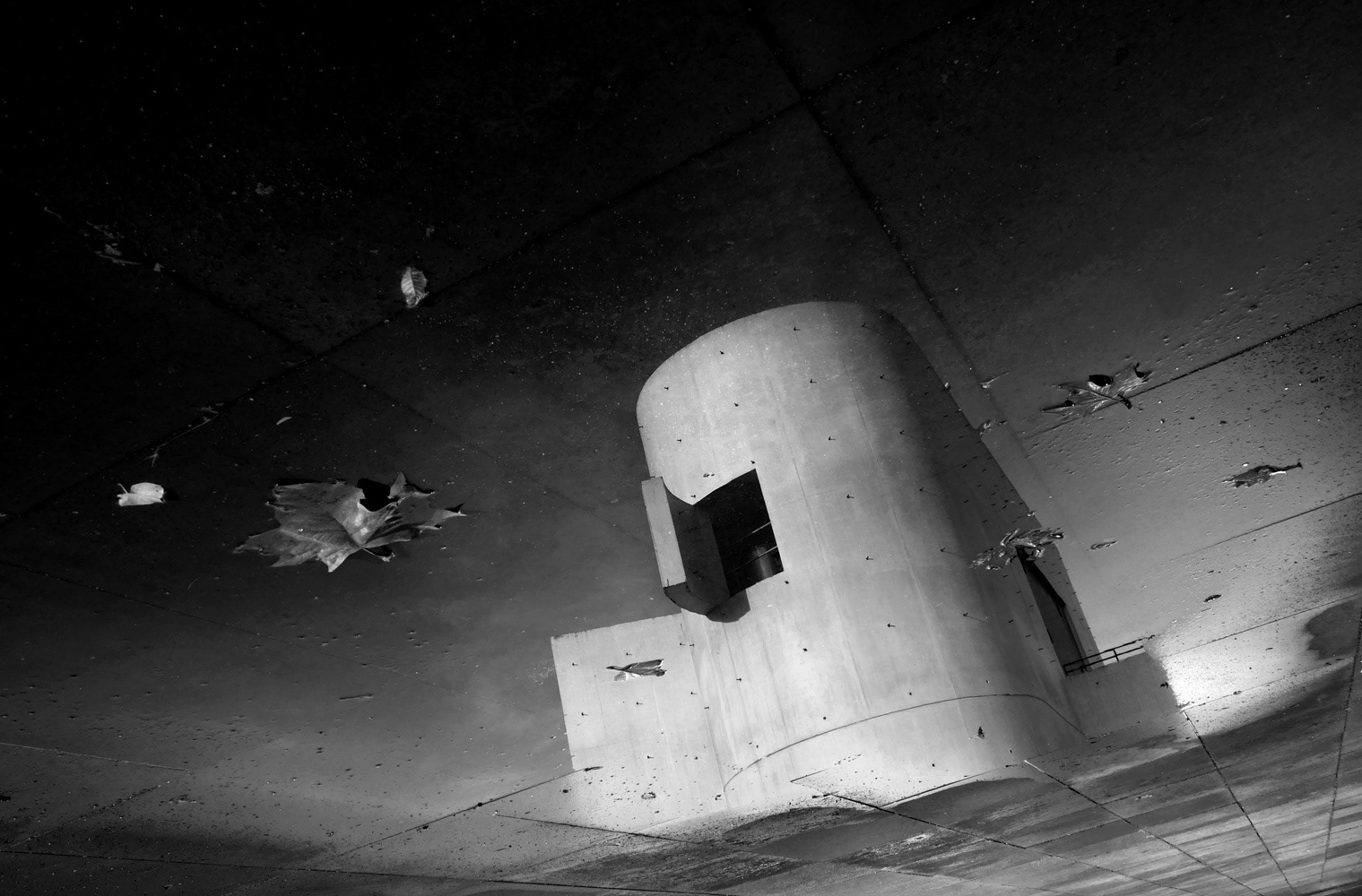 Black and white photograph of modern architecture reflected in a puddle with fallen leaves in Darmstadt, Germany