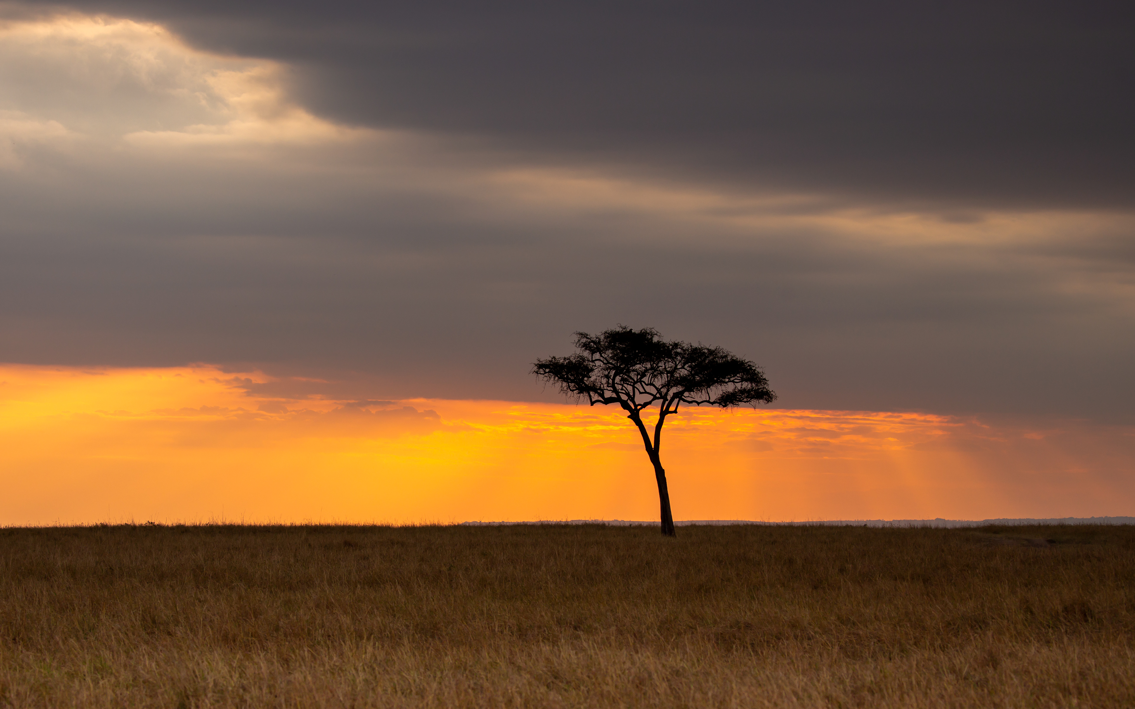 African Sunset