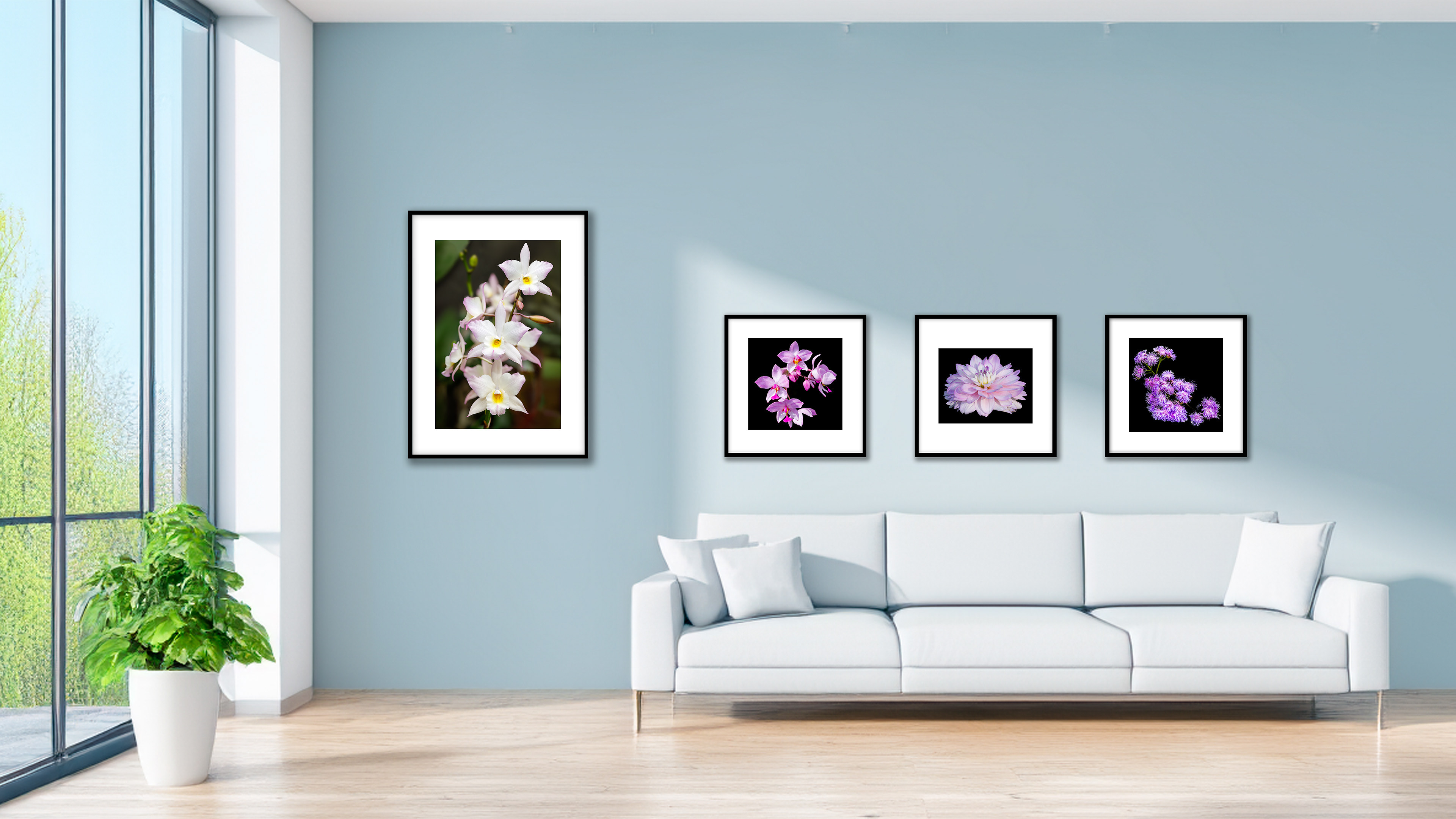 Botanical Prints in a Modern Living room or Waiting Room