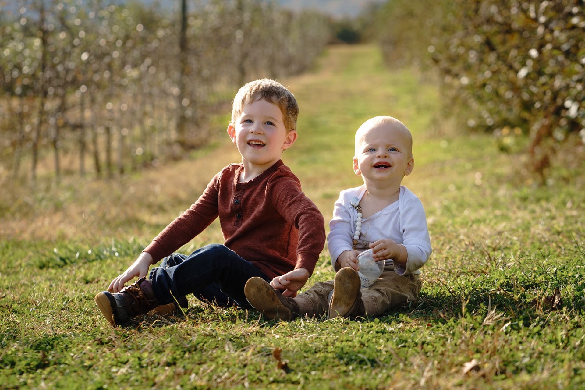 A family tradition is visiting an apple orchard in western North Carolina. This was our youngest son's first year there, and the brothers had a great time crawling around in the grass. 