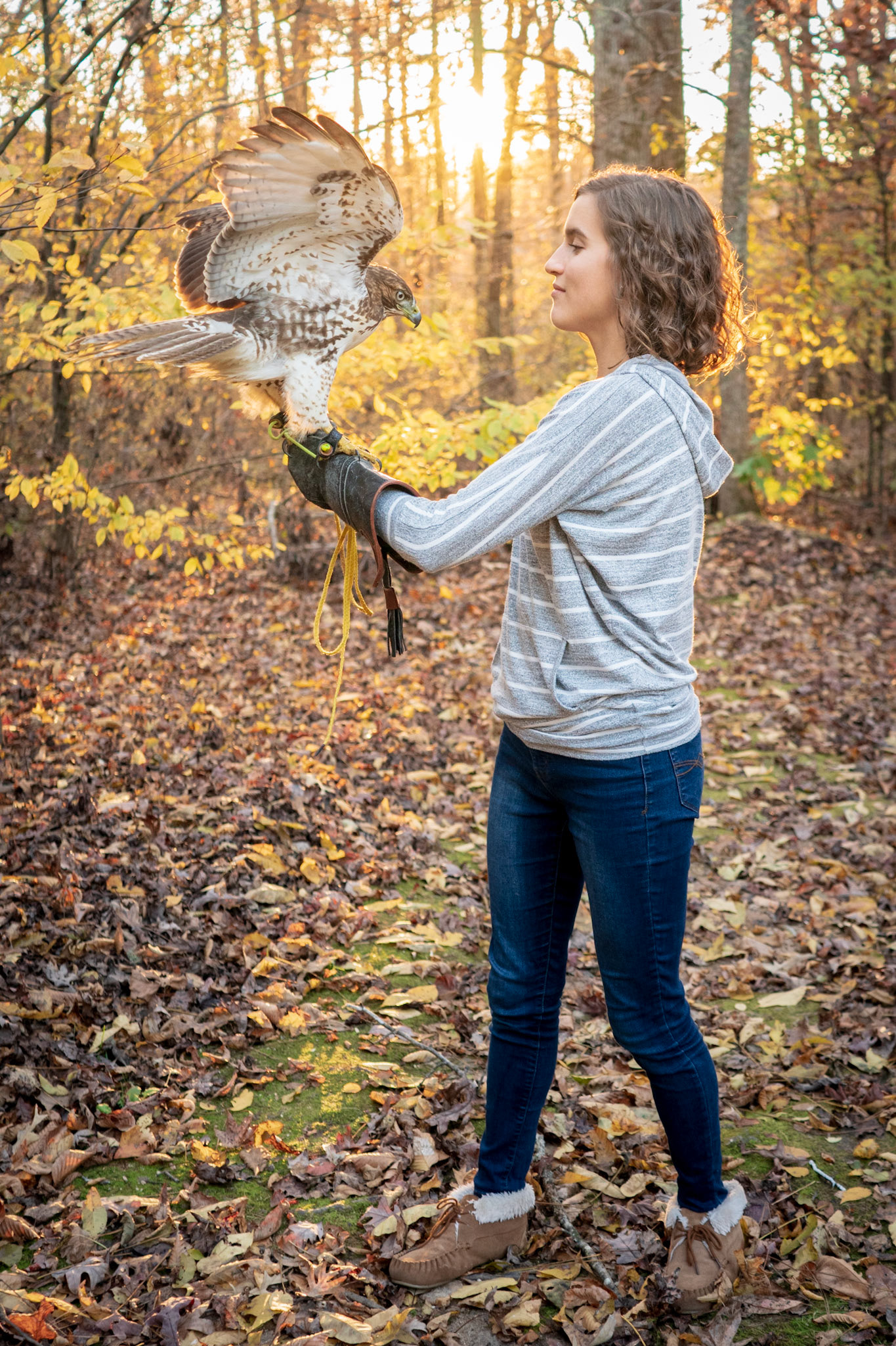 Caroline and her Hawk 