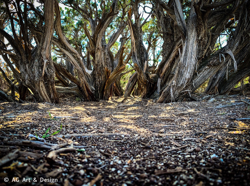 Black Rock Canyon, Ca
