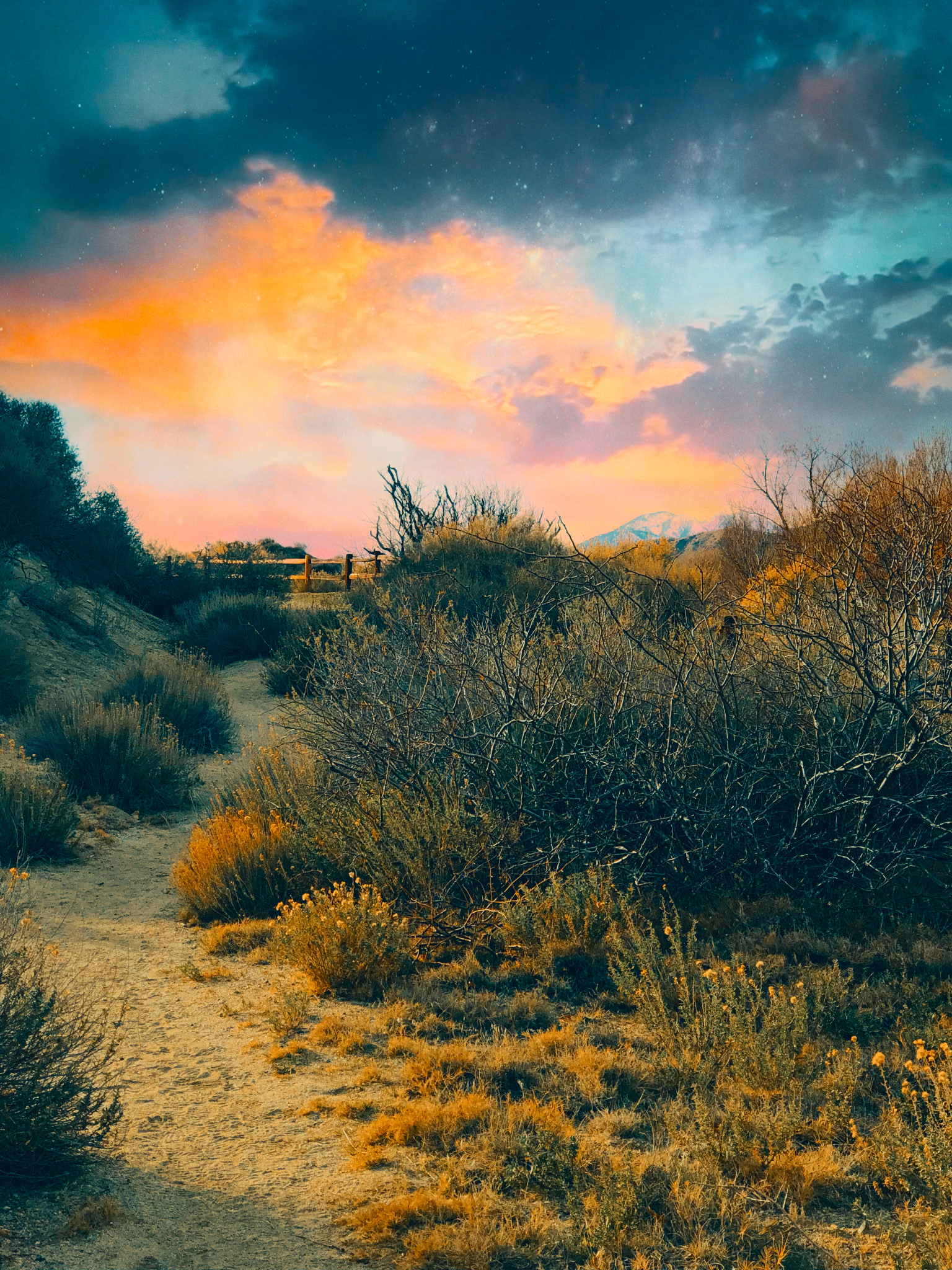 Morongo Valley, Ca