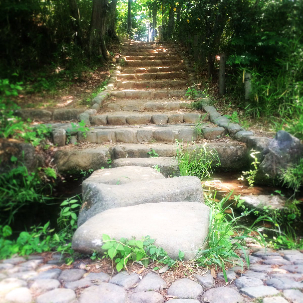Design Research -Personal Photography in Japan