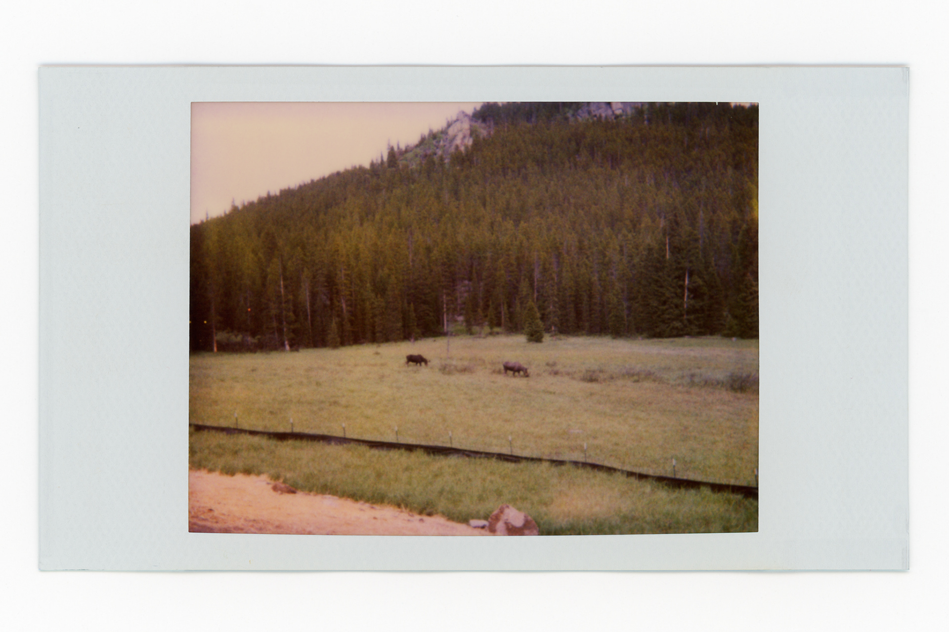 Yellowstone National Park