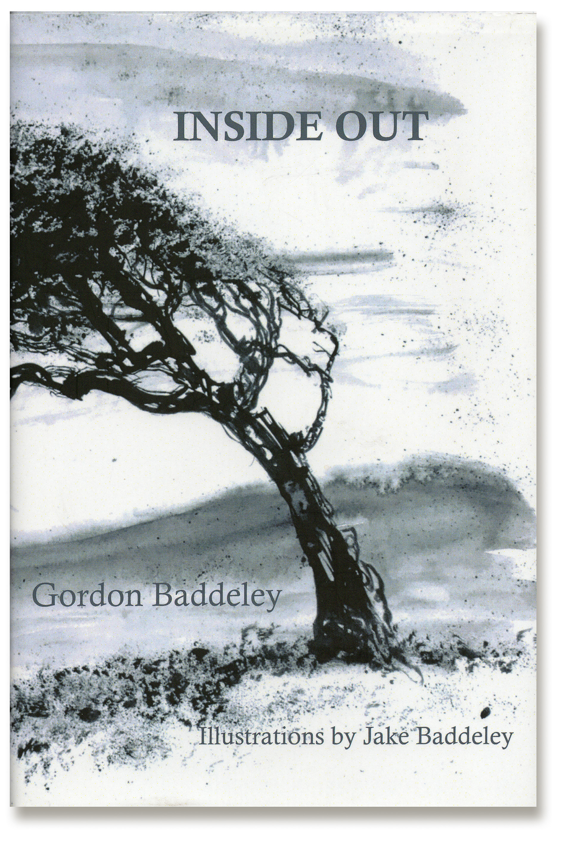 Cover image of Inside Out book