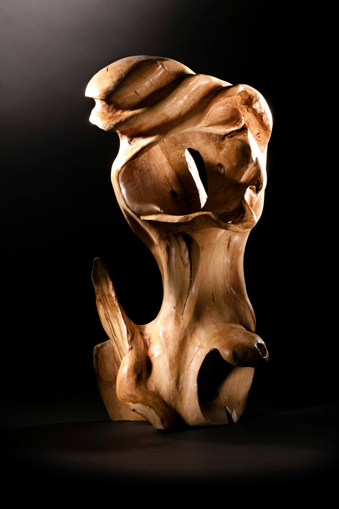 Splash - 58hx40wx36d (cm). Sycamore has very little visible grain and finishes looking like alabaster.