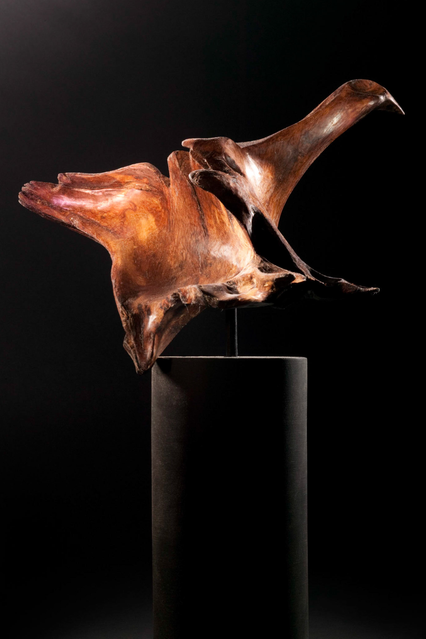 Bird 2 - 25hx28wx23d (cm). Chestnut on slate base with wax finish.