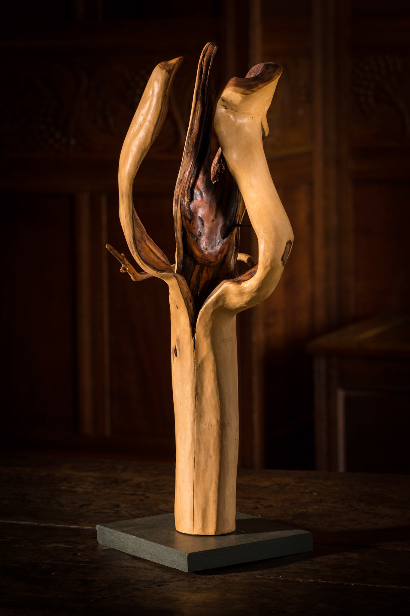 Awakening - 60hx37wx30d (cm). Naturally split yew branch, showing red interior, finished in linseed oil.