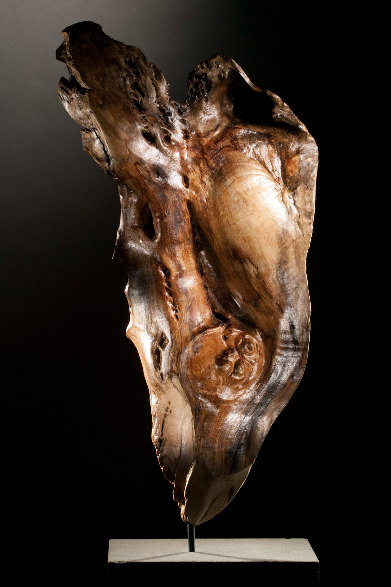 Leaf - 90hx56wx42d (cm). Ash flaked from rotting tree-trunk  with bark removed.