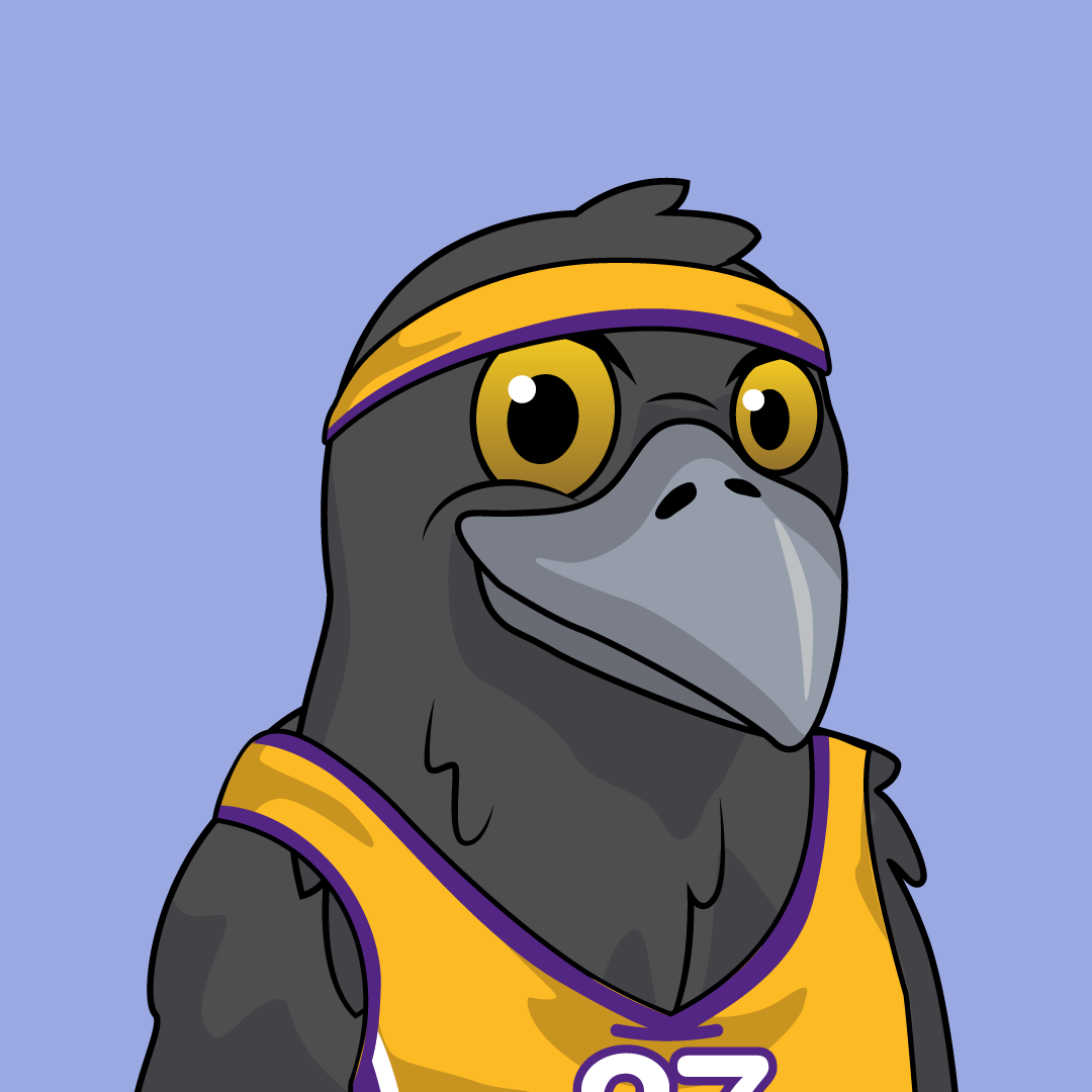 Raven concept