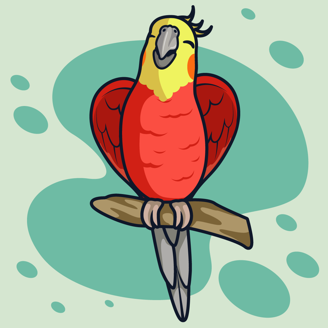 Cute cockatiel