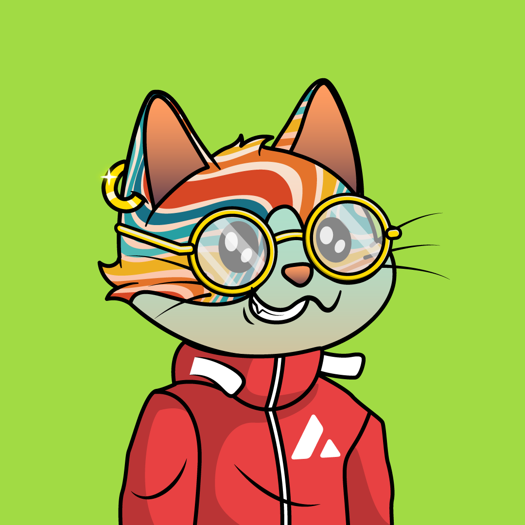 Avalanche catz