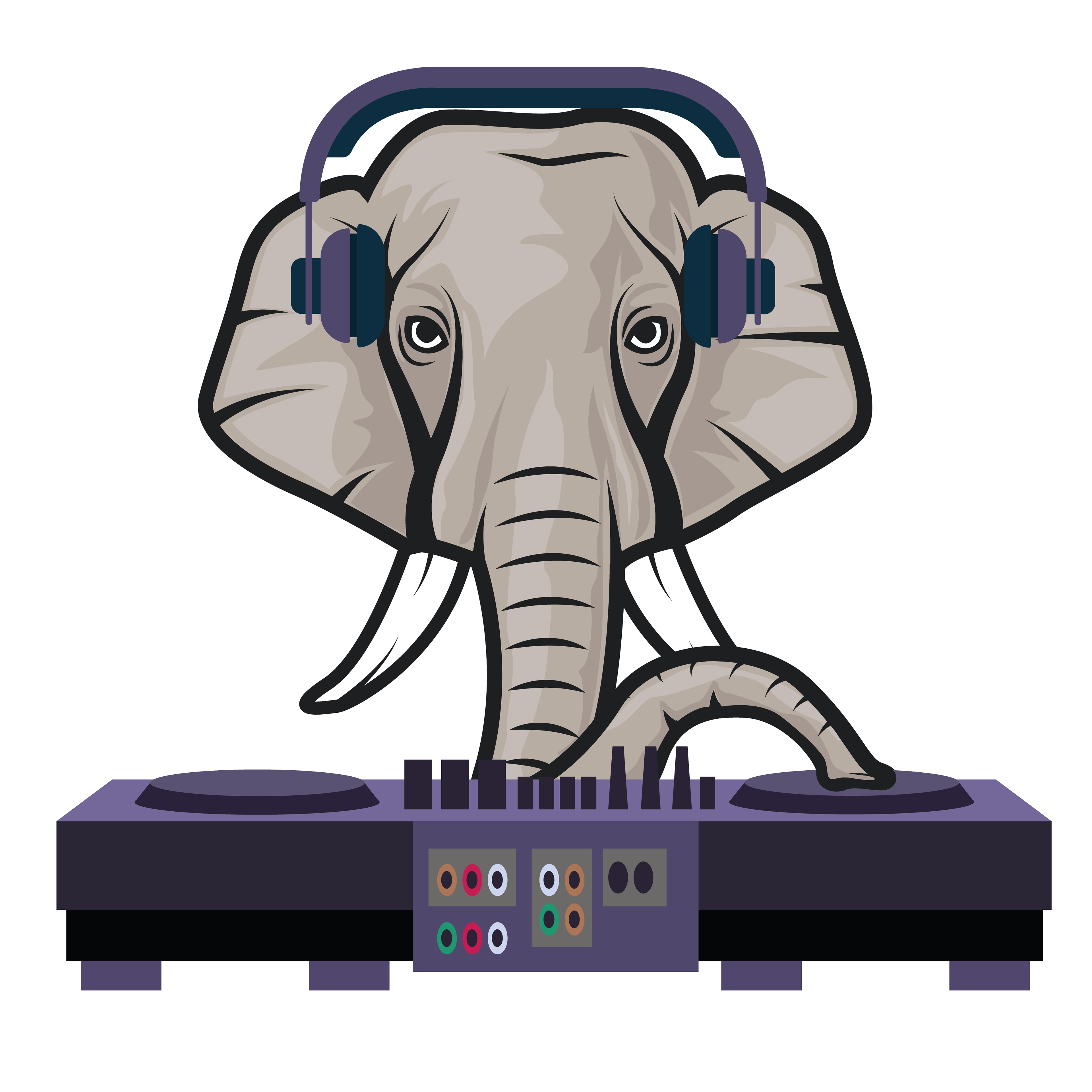 DJ elephant