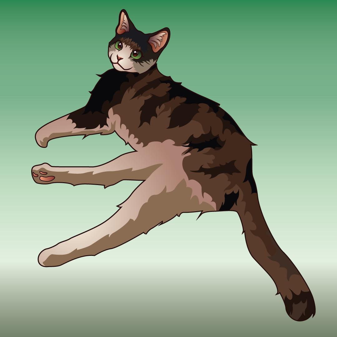 Cat illustration 2