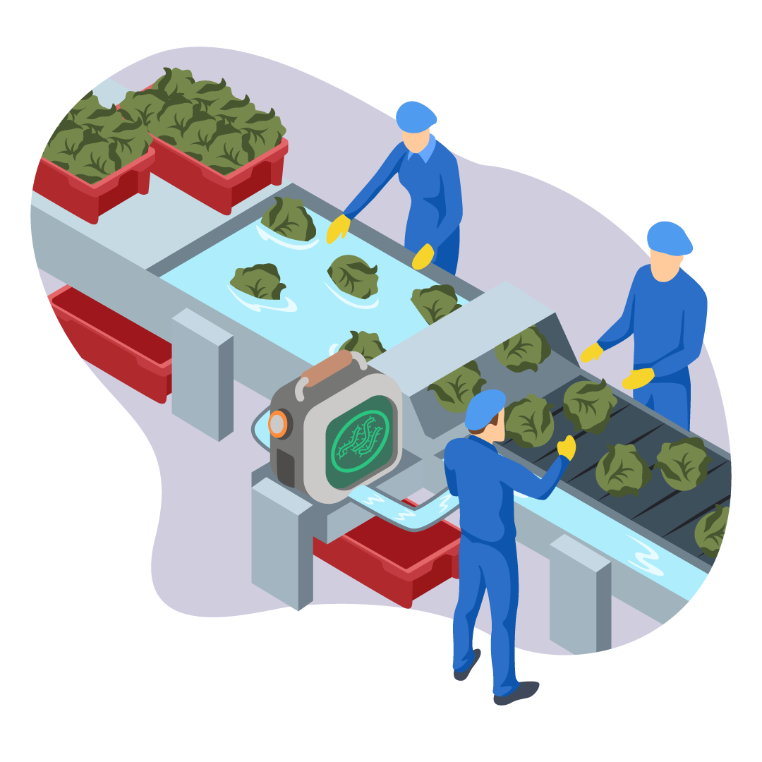 Food processing Vector art