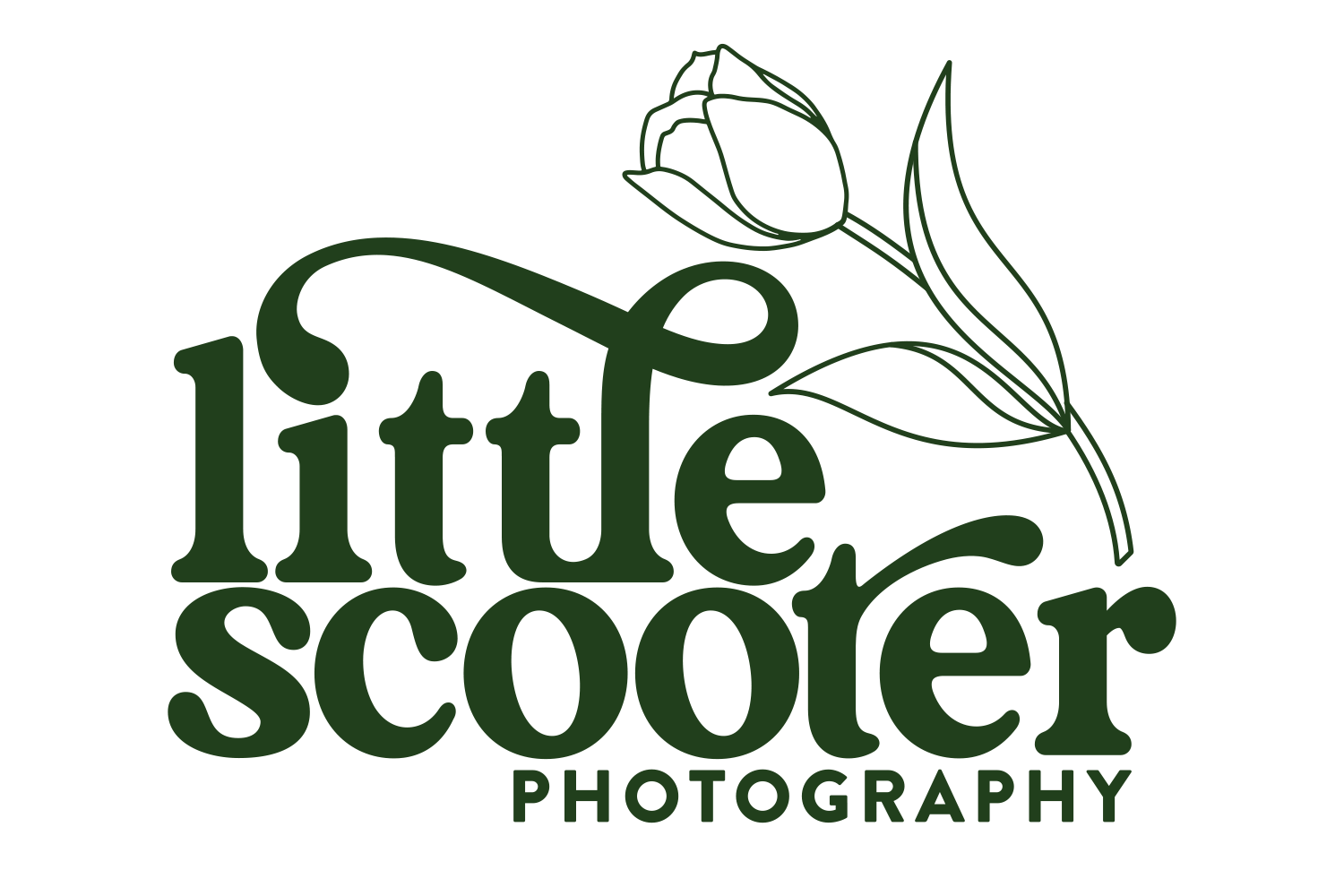 little scooter design + photography