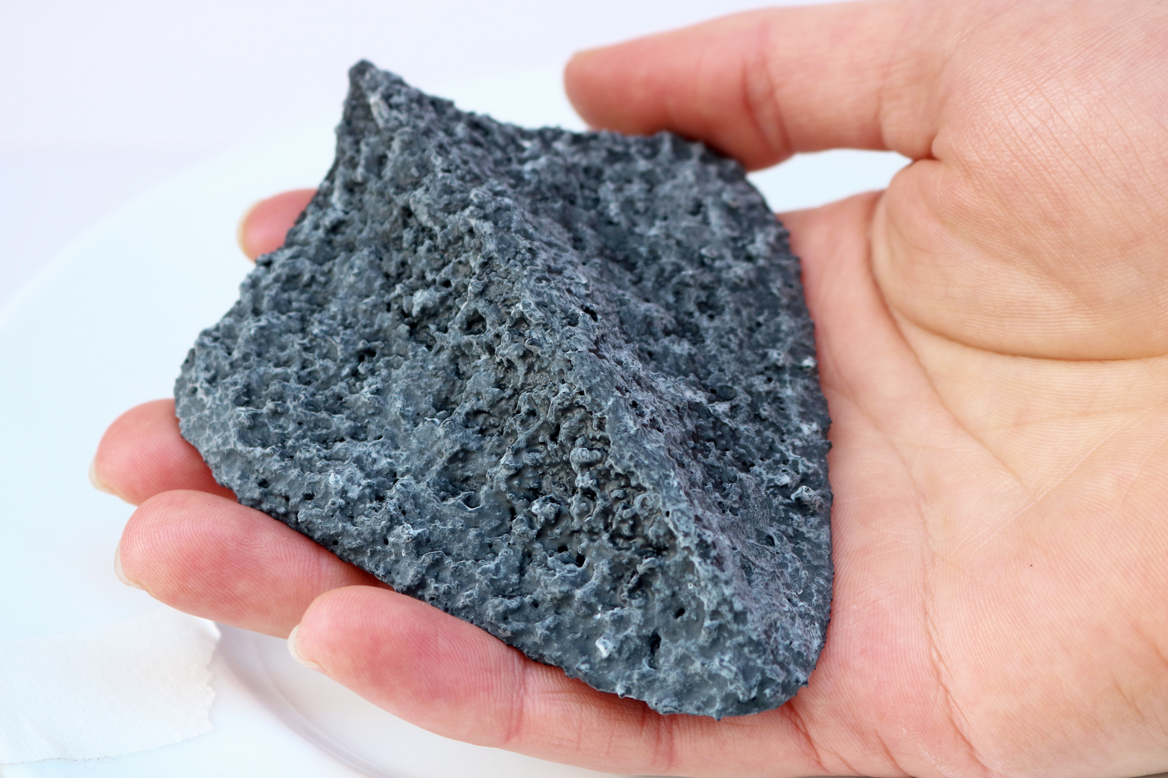 Hebridean Black Dragon Scale