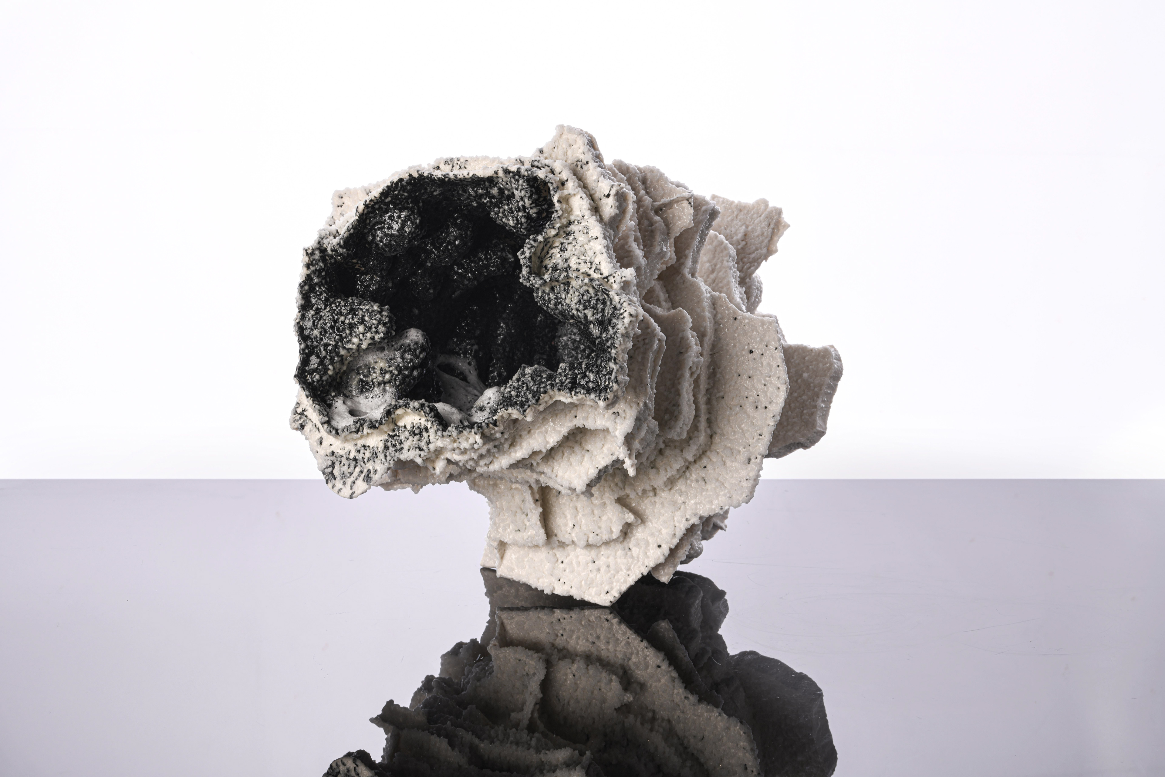 Black Salt 23 x 20 x 23 cm porcelain & glass