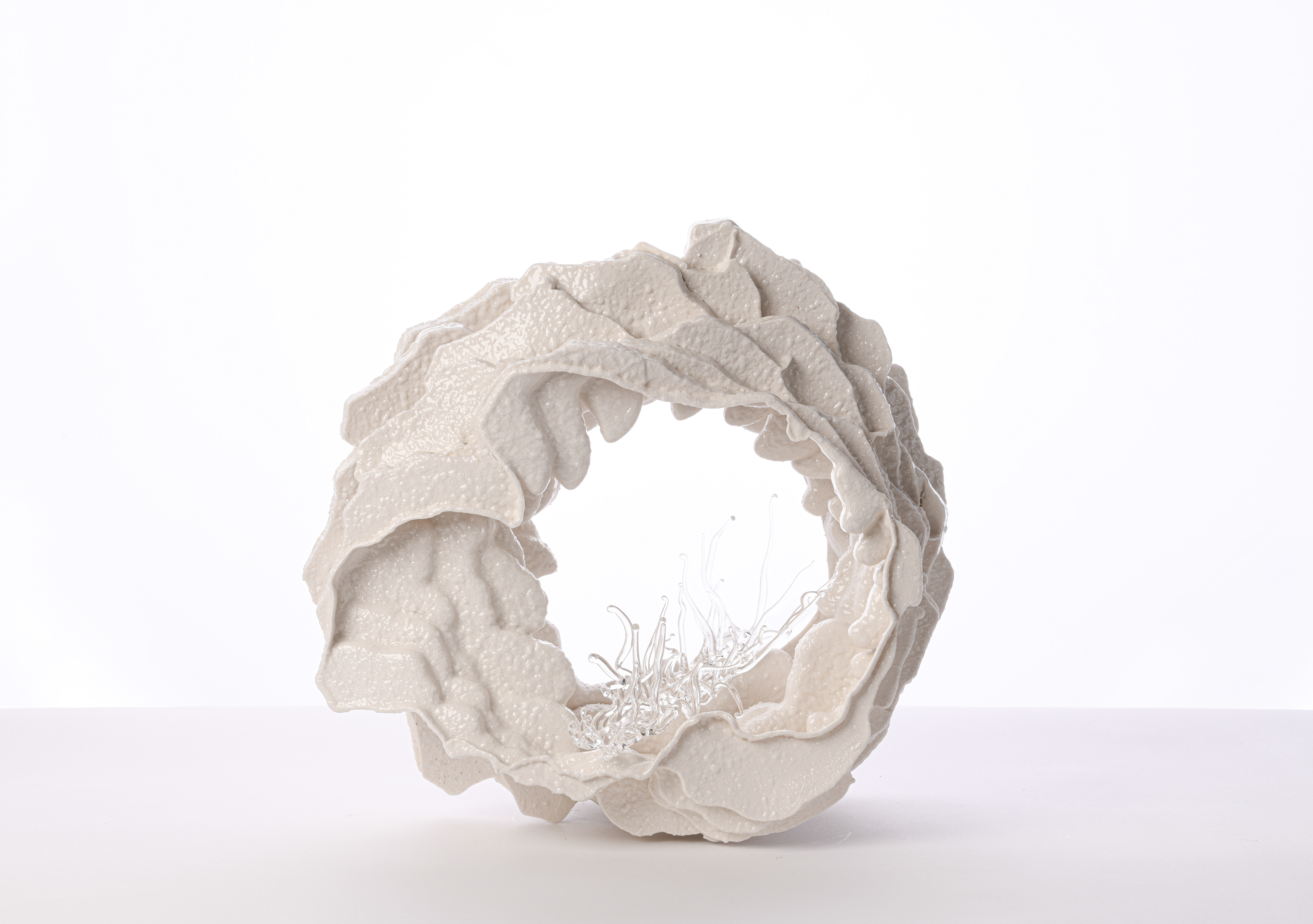 Fleur de sel (flower of salt) & halophyte 33 x 32 x 20 cm porcelain & glass