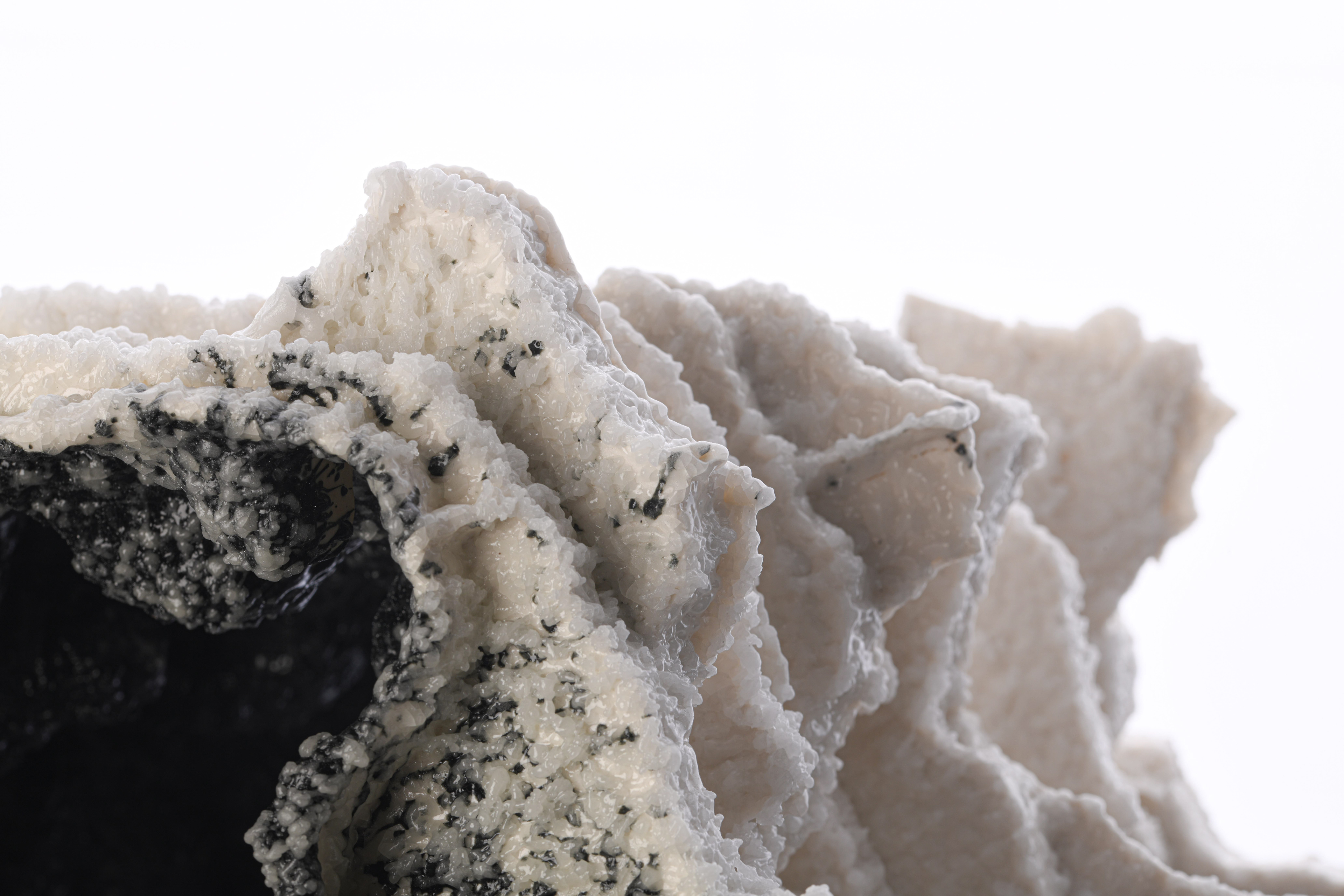 Black Salt detail