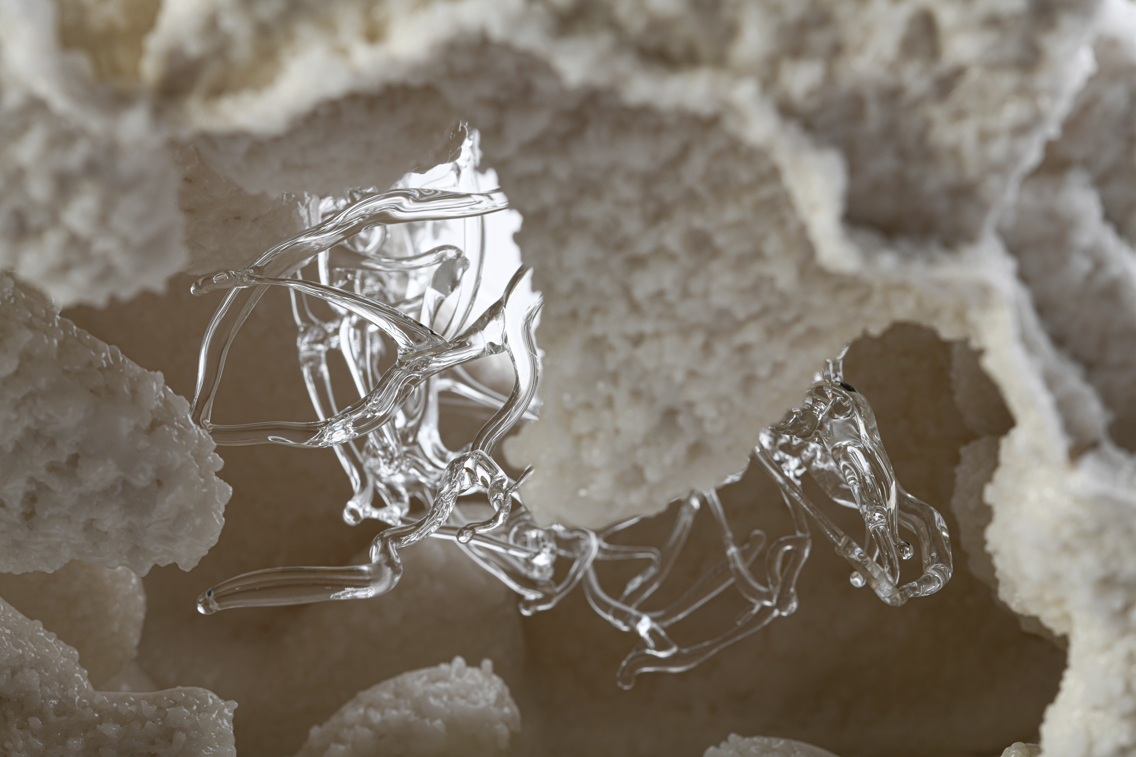 Fleur de sel de Guerande detail