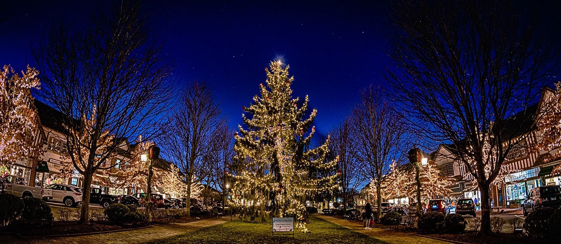 Xmas in Lake Forest 2