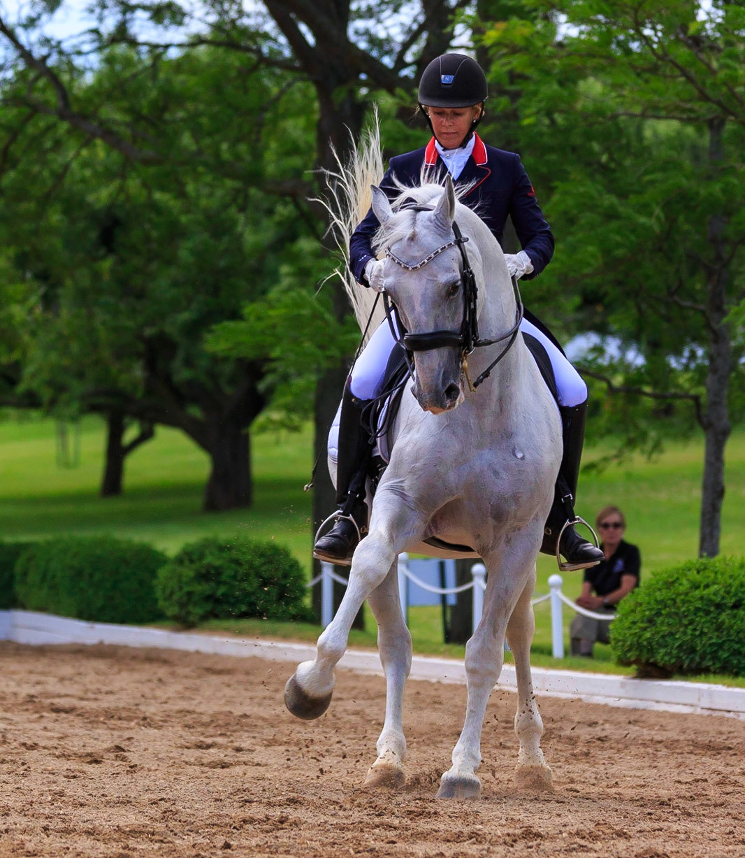Quadrille