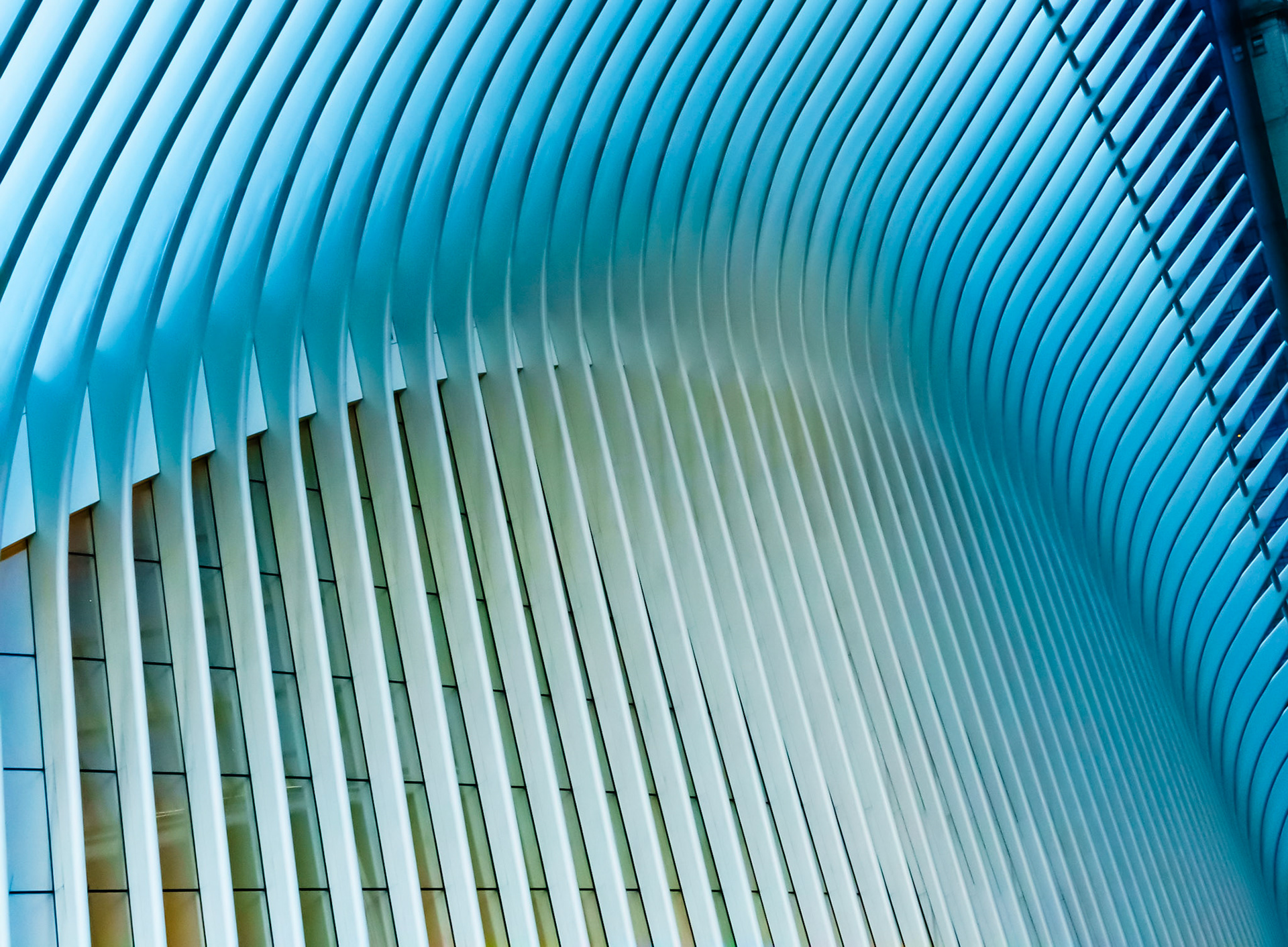 Oculus