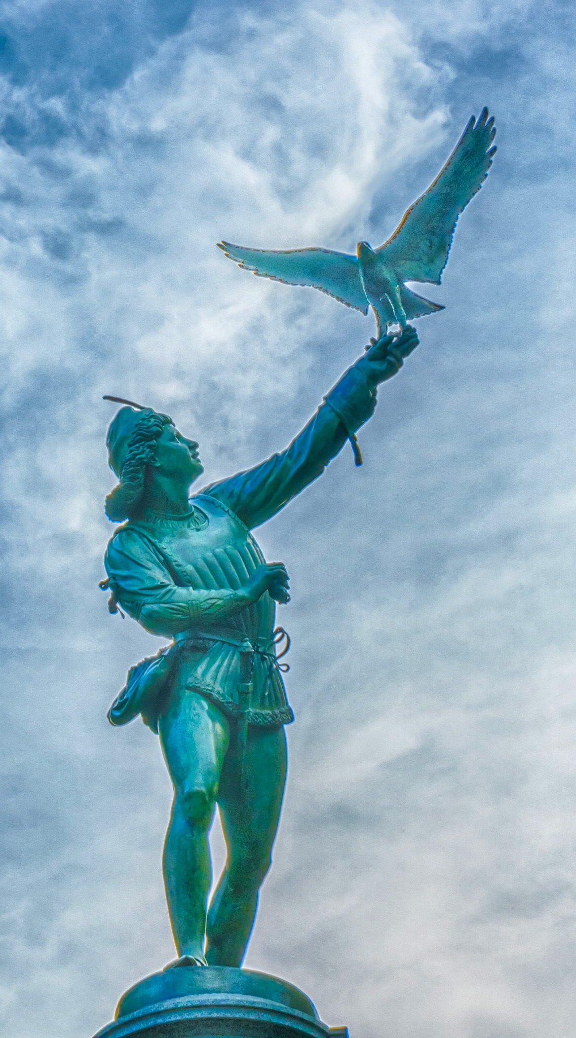 The Falconer