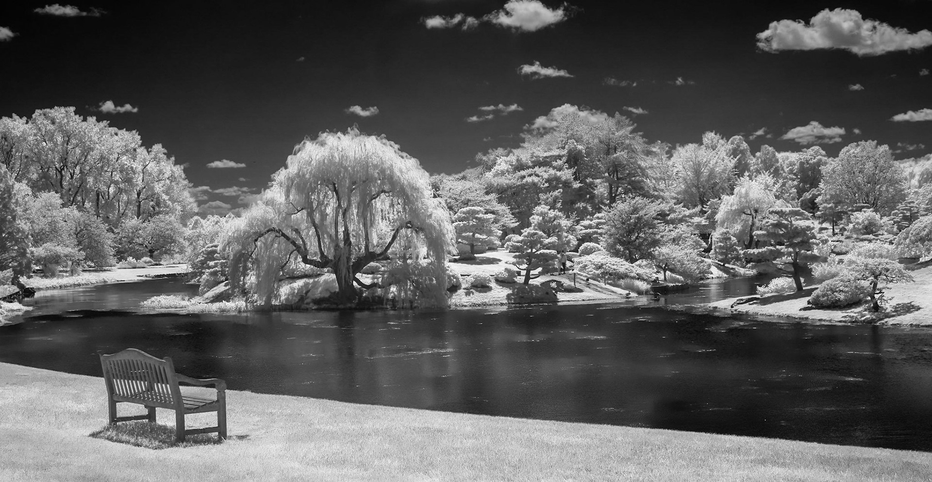 Botanic Japanese Garden