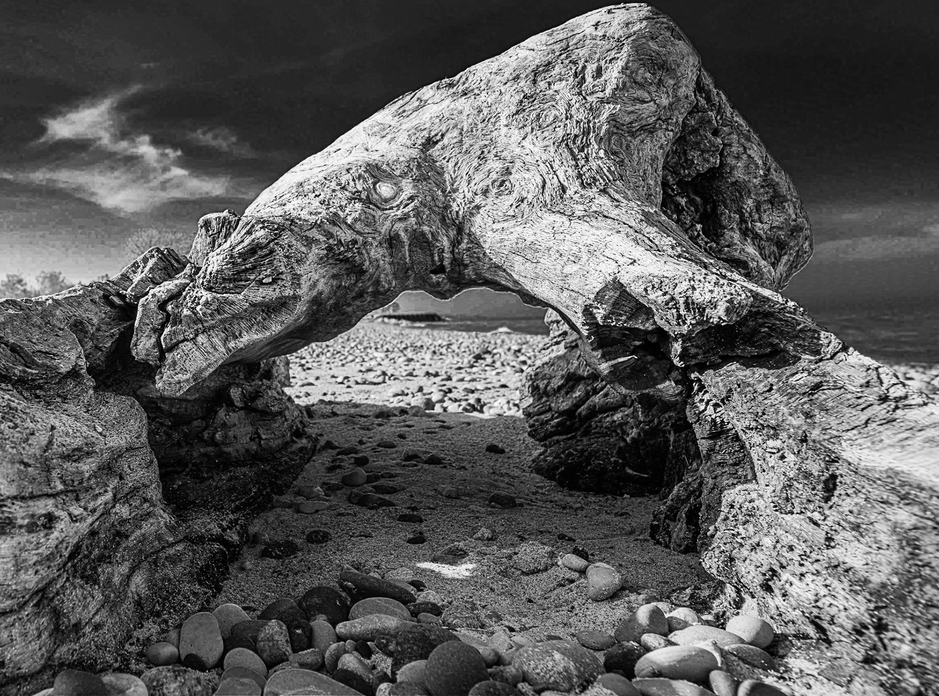 Monster on the Shore