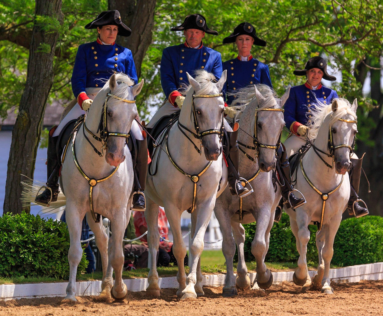 4 Horses
