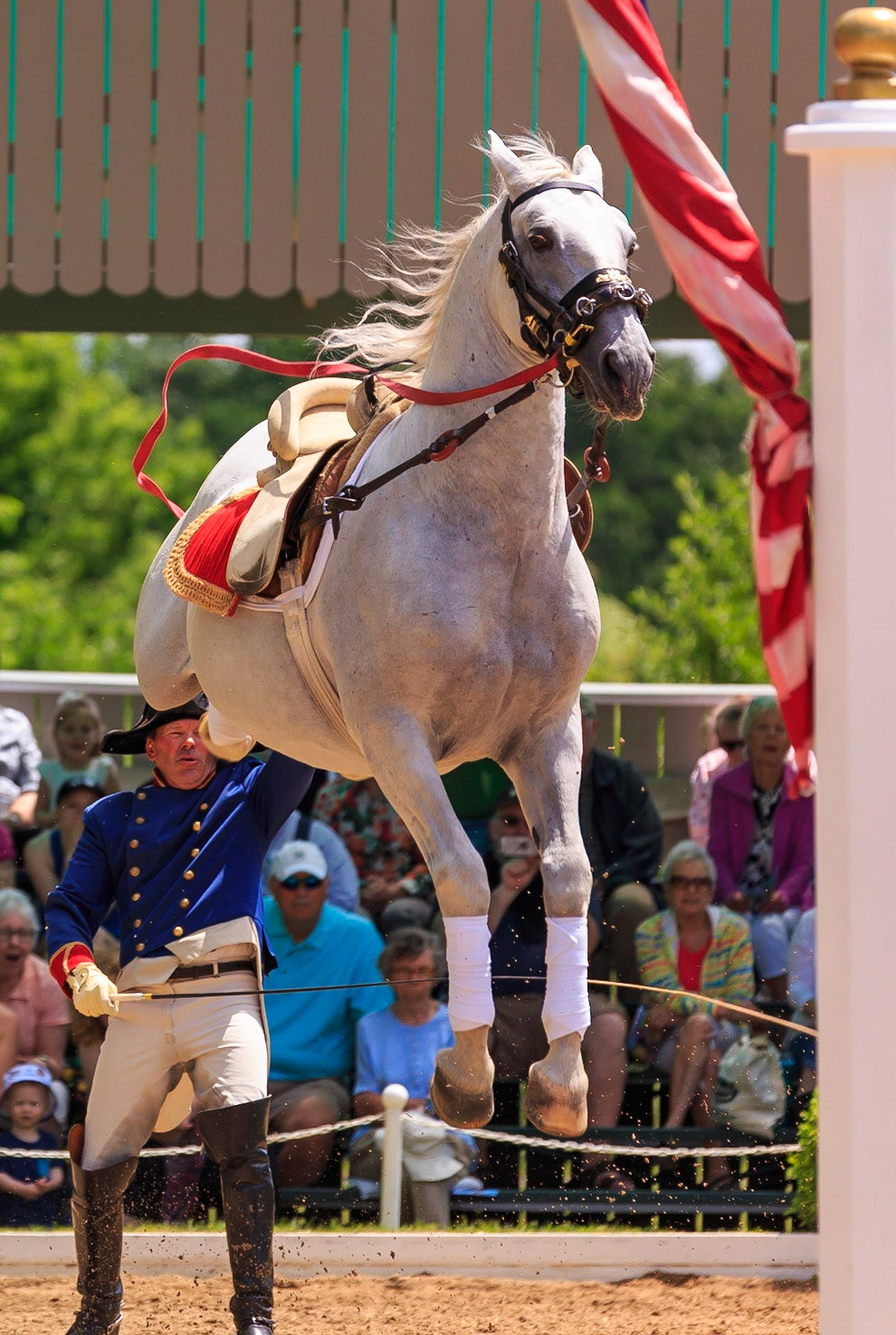 Lipizzan Air Step 2