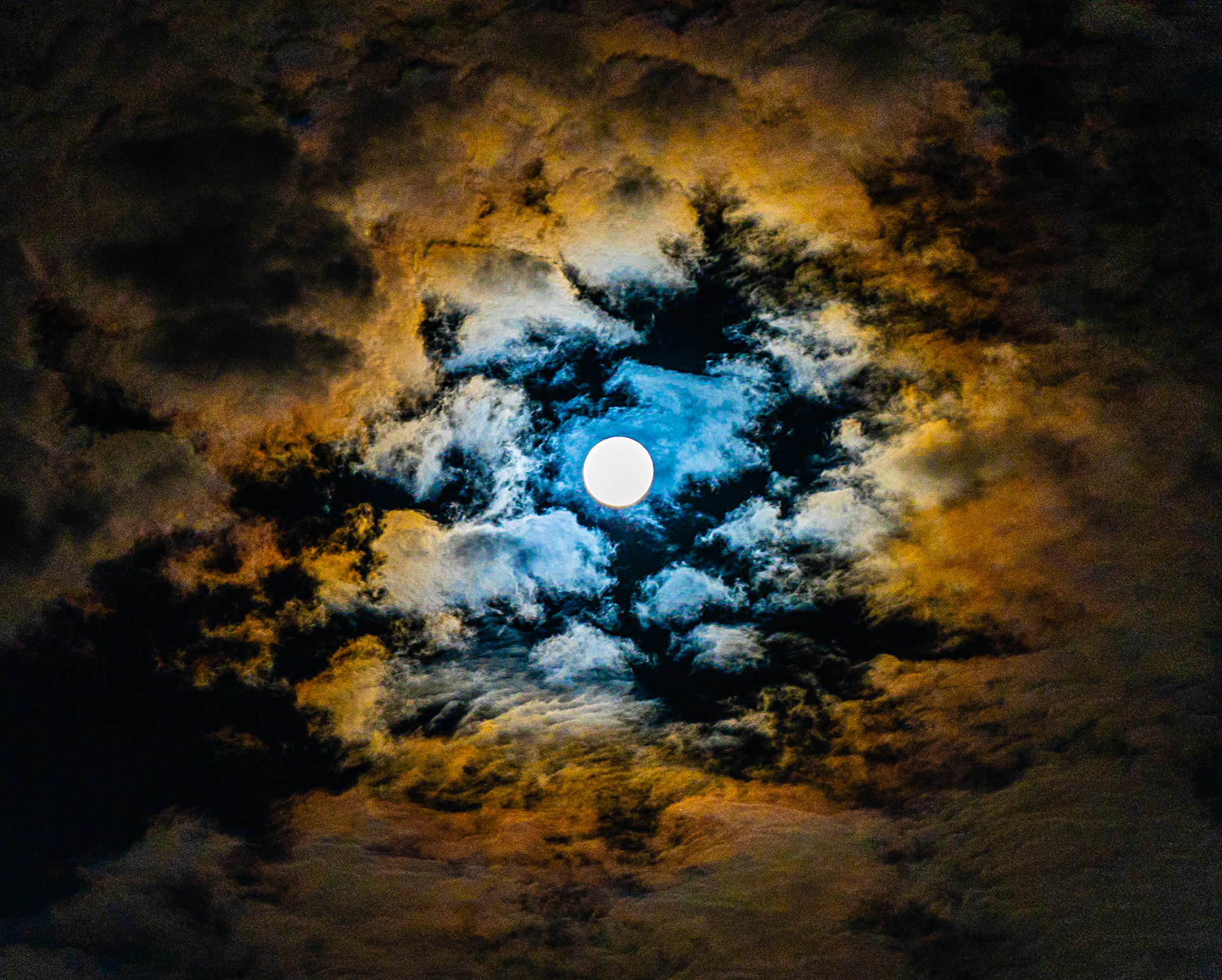 Moon Doggie