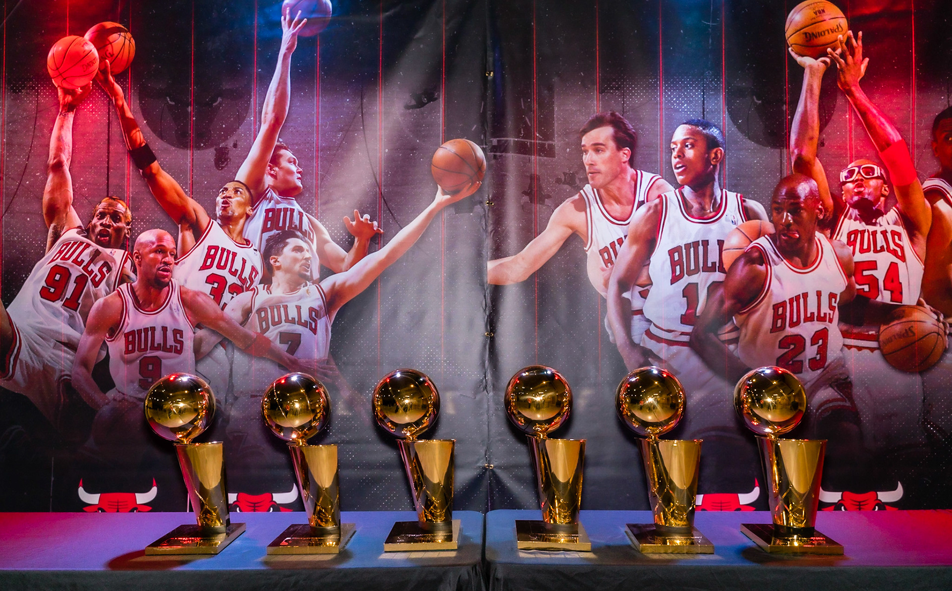 Bulls NBA Trophies