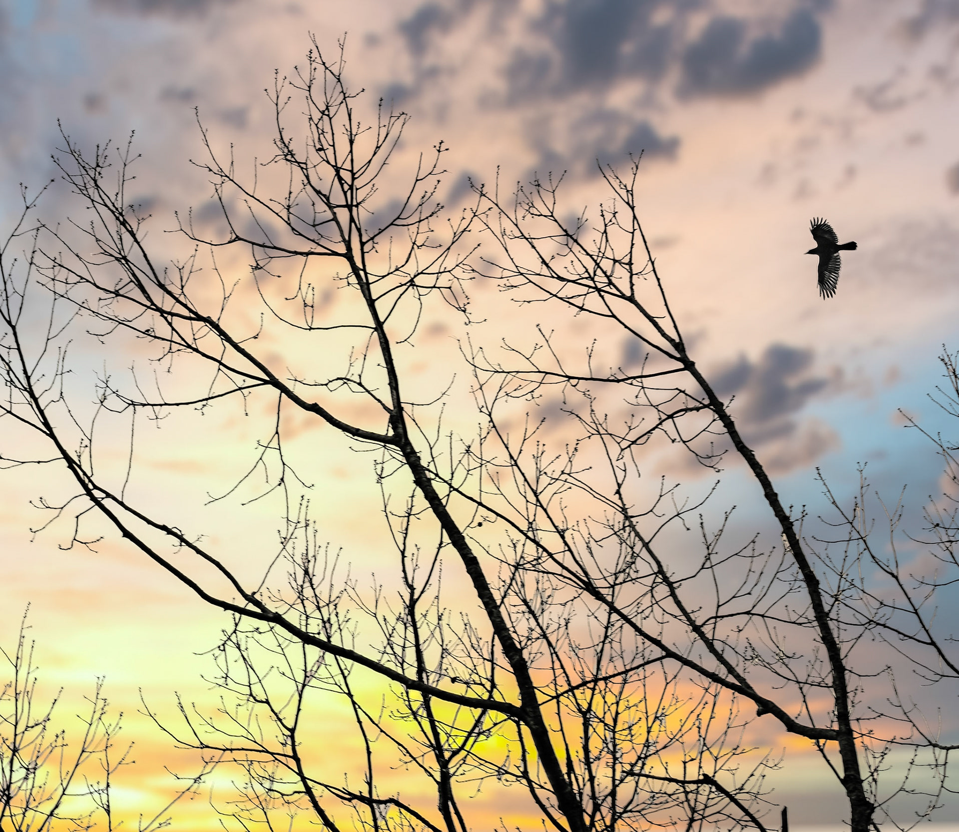 Nature Recoils