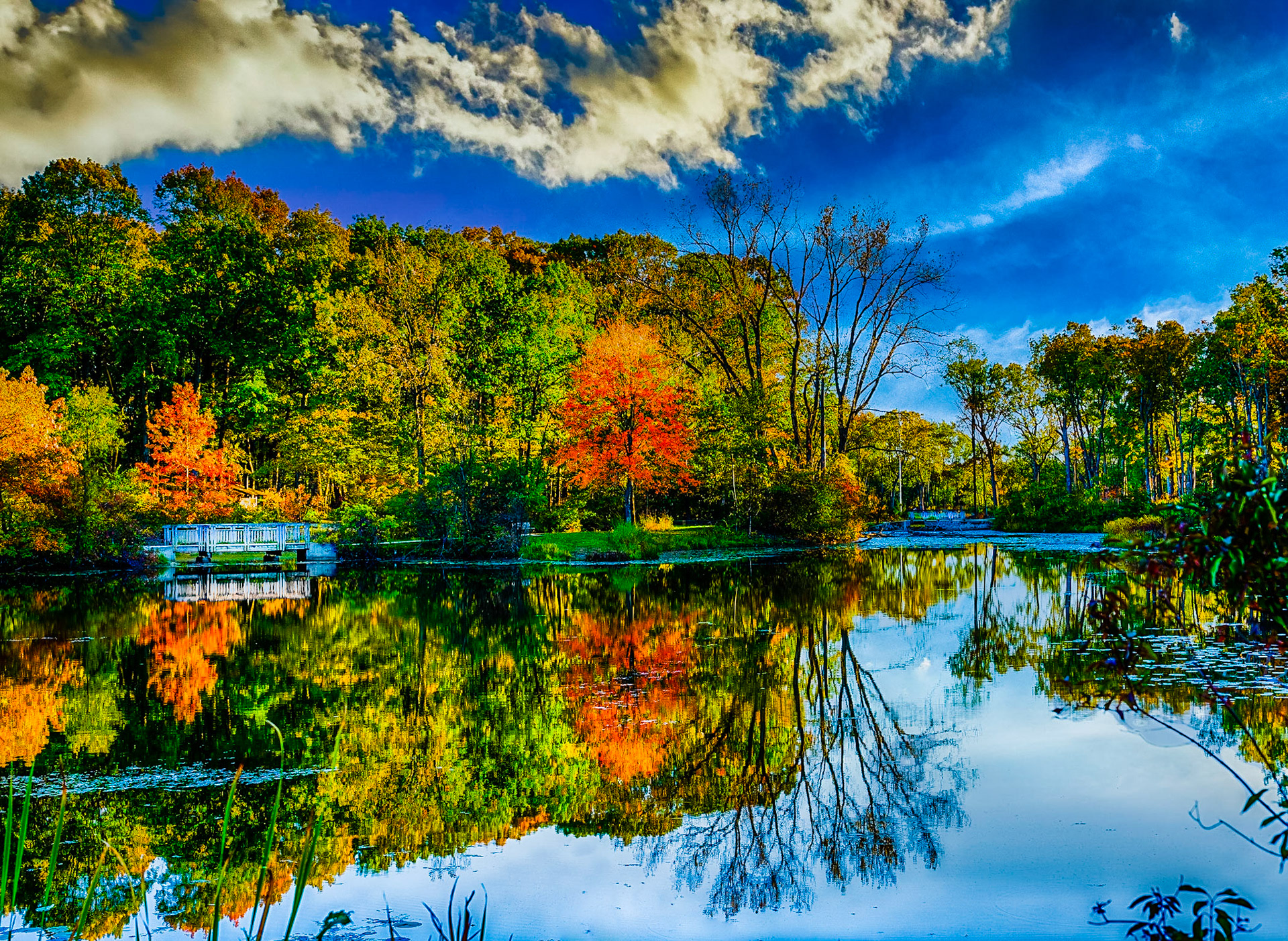 Daniel Wright Preserve Lagoon