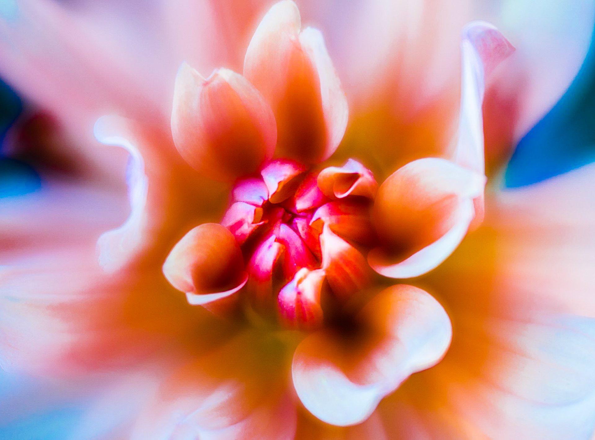 Unfolding Love